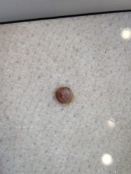 -慈蕊美容养生·专业经络调理