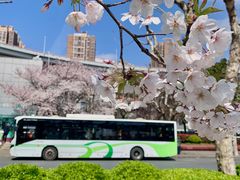 -南浦大桥长途旅游客运站