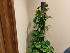 -天和晟烤鸭店(玉泉西街店)