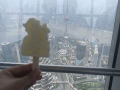 -上海环球金融中心骑迹50年环球之旅