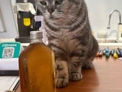 -有猫主题·治愈系猫咖(曾厝垵店)