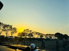 -合肥滨湖国家森林公园