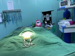 -恒幸动物医院·急重症转诊中心·神经内外科·CT核磁
