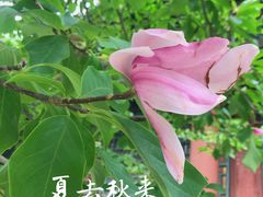 -颐和园