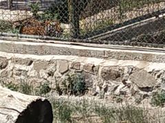 -新疆天山野生动物园