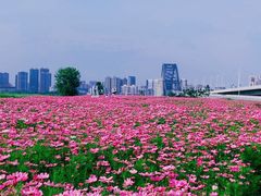 -汉江湾体育公园