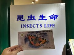 -上海昆虫博物馆