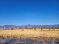 -野鸭湖国家湿地公园