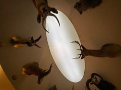 -陕西自然博物馆