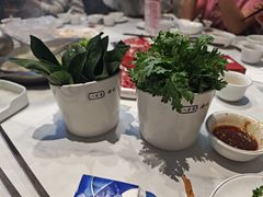 -八合里潮汕鲜牛肉火锅(吉大店)