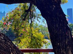 -人民公园(罗湖区)