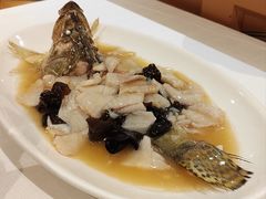 糟溜桂鱼片-老吉士酒家(天平路店)