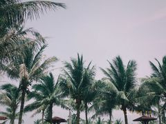 -白沙门生态公园