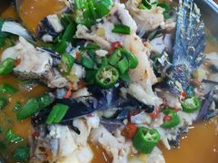 -全乐鱼馆·淳牌有机鱼直营店