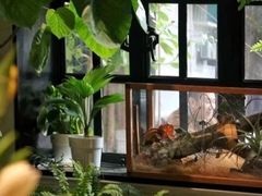 -一尺花园(安和花园店)