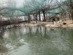 -唆了蜜团建·趣味沉浸式剧情·蹦床轰趴运动拓展基地(天津旗舰店)