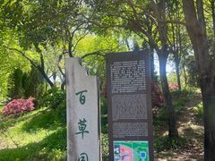 -洛阳市隋唐城遗址植物园