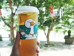 -猫的魔法密林(衣裳街店)