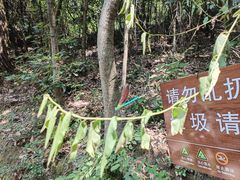 -鄣山大峡谷