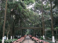 -广西壮族自治区药用植物园