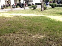 -海南热带海洋学院(三亚校区)