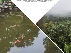 -香山公园