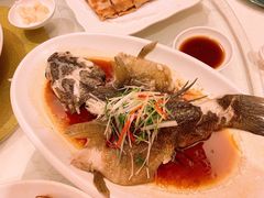-东方之珠海鲜酒楼(武清店)