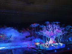 -三亚红色娘子军演艺公园景区