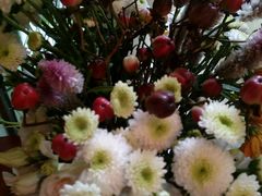 -春暖花开(西溪店)