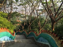 -西双版纳勐泐文化旅游区