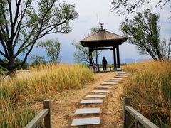 -野鸭湖国家湿地公园