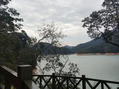 -广州市流溪河国家森林公园
