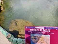 -靖西鹅泉风景区
