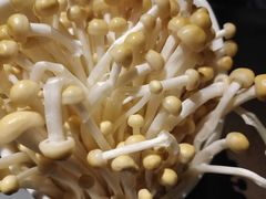 -大妙火锅·非物质文化遗产(东湖公园店)