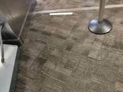 -纽瓦克自由国际机场