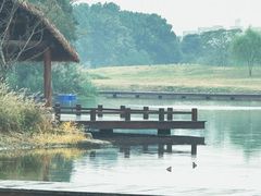 -良渚古城遗址公园