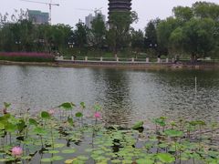 -西海子公园