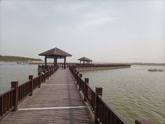 -南大港湿地风景区