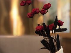 -成都宽窄巷子奎星楼街亚朵X酒店