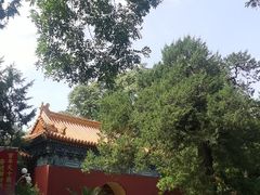 -北京市劳动人民文化宫(太庙)