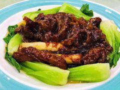 葱烧海参-聚丰德饭店(经五路店)