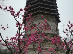 -玲珑塔公园