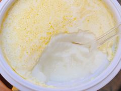 -德禄酸奶(莫家街店)