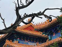 -北京国子监胡同