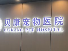 -贝康宠物医院·犬猫全科·小动物特色诊疗中心(东环路店)
