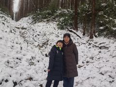 -武陵山森林公园