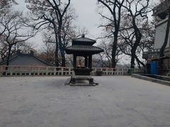 -紫蓬山国家森林公园