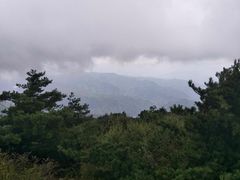 -王顺山国家森林公园
