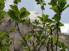 -祥源·阜阳生态乐园