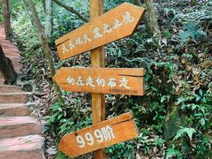 -楠溪江风景名胜区